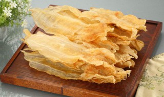 鱼胶是什么东西（鱼胶是什么东西是鱼的泡泡吗?）