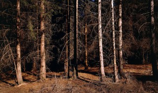 酸雨的危害有哪些 酸雨的危害有哪些?