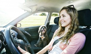 汽车摆件有什么讲究 车饰摆件有没有讲究