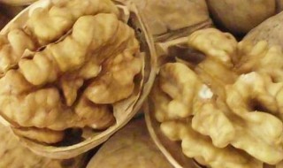 纸皮核桃如何保存（纸皮核桃怎么保存时间最长）