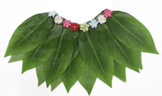 树叶衣服是怎么做的 用树叶做衣服图片大全