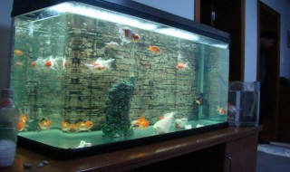 鱼缸摆放风水 客厅鱼缸摆放风水