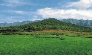 怎样看阴宅风水（怎样看阴宅风水好与坏）