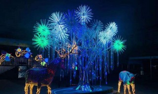 颜色在生活中的特殊作用 颜色在生活中的特殊作用是什么