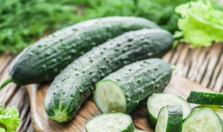 黄瓜酸奶减肥方法（黄瓜酸奶减肥方法视频）