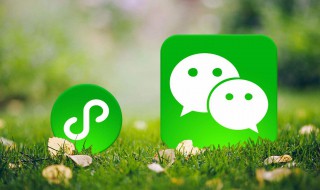 微信小商店从哪里看（微信商店怎么看）