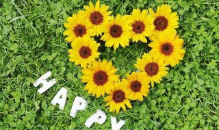 发朋友圈的短句子 生日发朋友圈的短句子