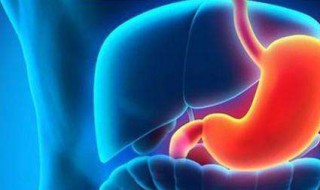 胃酸的主要作用（胃酸的主要作用之一是激活胃蛋白酶原）