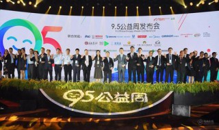 阿里巴巴95公益周是什么（阿里巴巴95公益周是哪一年）