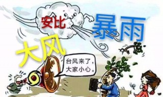 台风来了要怎么防范（台风来了如何防范）