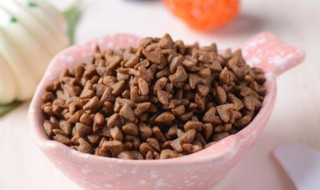 猫粮招蚂蚁怎么解决 猫粮招蚂蚁怎么解决视频