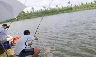 最简便的钓鱼方法 最简单的钓鱼方法