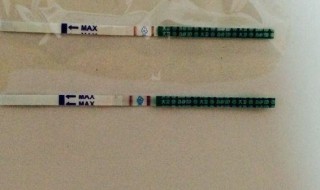 验孕纸怎么看 验孕试纸怎么检测