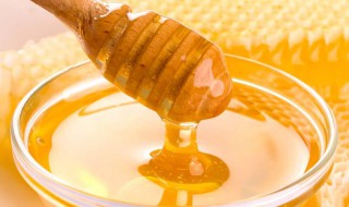 蜂蜜和酸奶能做面膜吗 蜂蜜和酸奶能做面膜吗