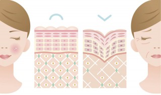 怎样能皮肤好（怎样皮肤好看干吧）