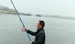 钓鱼线组搭配钓多大鱼 钓鱼选多大的线组