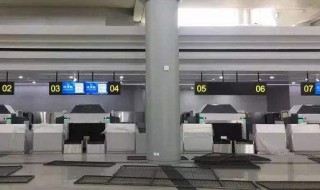 值机是什么意思? 值机是什么意思啊