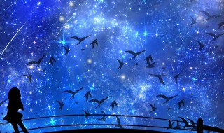 人类还有希望吗是啥梗（人类真的还有希望吗表情包）