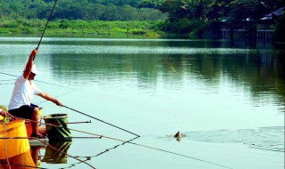 夏季野钓实用技巧 夏季野钓鱼的技巧和方法