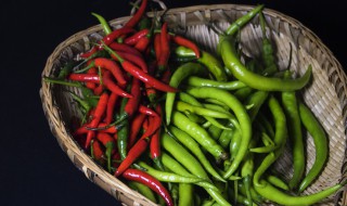 种小米辣的方法（如何种小米辣）