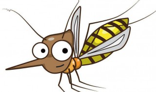 防蚊片怎么做（防蚊片怎么用）