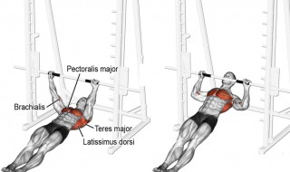 关于后背的运动方法（关于后背的运动方法有哪些）