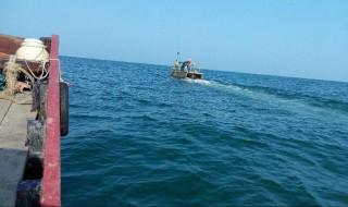 海洋捕鱼的方法（海洋捕鱼的方法有哪些）