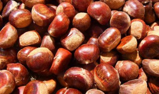 剥板栗壳的方法（用什么办法剥板栗壳）