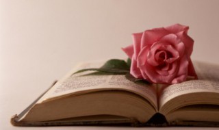 2020最火文案短句（2020最火文案短句搞笑）