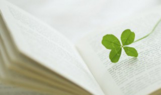 充满阳光的句子文案 充满阳光的句子文案短句