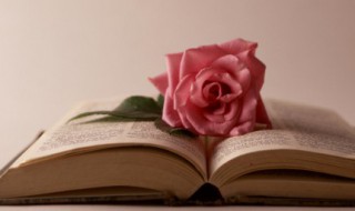 2020爆款文案（2020年最新的文案）