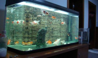 清洗鱼缸的好方法 清洗鱼缸的好方法视频