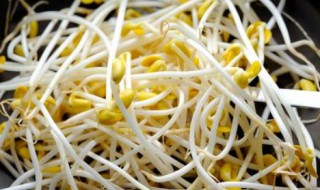 豆芽菜保存的方法（豆芽菜怎么能长时间保存）