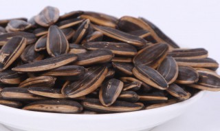 种小葵花籽的方法（葵花籽怎么栽种）