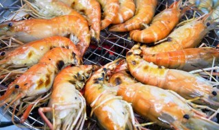 活虾运输的方法 活虾运输方式及技术要点