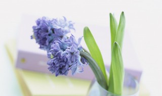 短句霸气激励人心押韵（短句霸气激励人心押韵句）