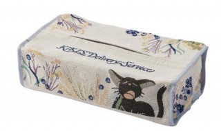 怎么做可爱纸巾盒（怎么做抽纸巾的盒子 可爱）