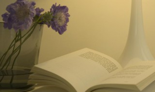 正能量清新文艺的句子（正能量清新文艺的句子短句）