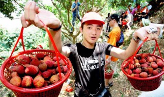 摘水果的最佳方法 摘水果的最佳方法是什么