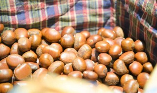 储存新鲜板栗的方法 鲜新的板栗如何储存