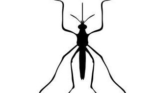 对付黑蚊子的方法（对付黑蚊子的办法）