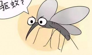 蚊子家庭消灭的简单方法 蚊子家庭消灭的简单方法视频