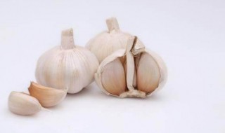 大蒜驱蚊最简单方法（大蒜怎样驱蚊）