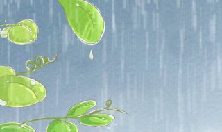 下雨防雨怎么解决（注意防雨怎么说）