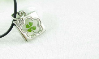 四叶草项链象征什么 4叶草项链的含义