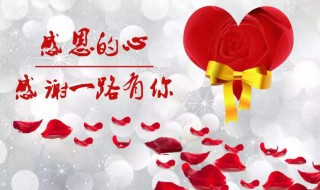 感恩节送老师什么礼物（感恩节送老师什么礼物手工制作的图片）