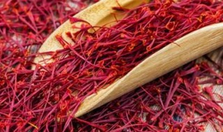 藏红花真假怎么鉴别 藏红花真假怎么鉴别百度百科