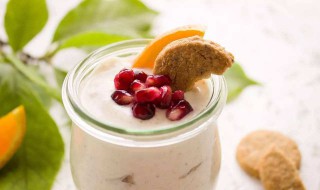 自己做酸奶用什么菌好 自己做酸奶用什么菌好喝