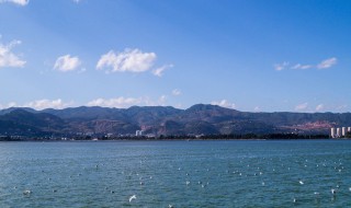 昆明哪些地方好玩（昆明哪些地方好玩又实惠）