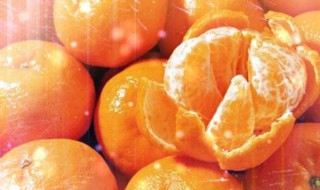 酸橘子的功效（酸橘子的功效与作用是什么）